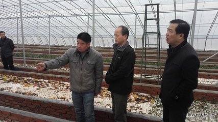 陕西省林木种苗站站长谢君朝赴渭南市调研检查林木种苗工作