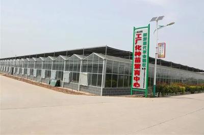 「亮点」陕西大荔:“四大行动”推进基层党建提质增效
