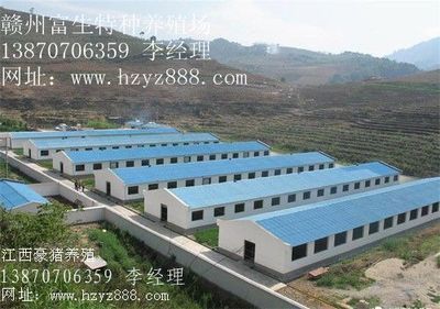 贵州豪猪种苗 陕西豪猪种苗 云南豪猪种苗_农副产品_世界工厂网