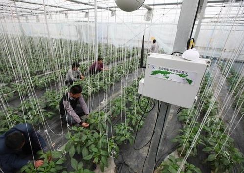 一篇文章让你看懂互联网 农业是什么 前景如何