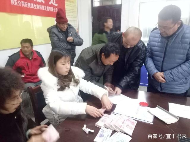 宜君县哭泉镇:高钙菜种植让群众脱贫致富不缺“钙”