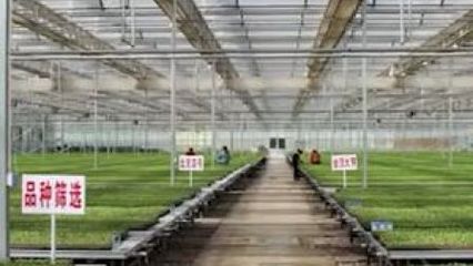 企业帮扶农户,携手共奔小康——记陕西种苗大王李林军的脱贫攻坚之路