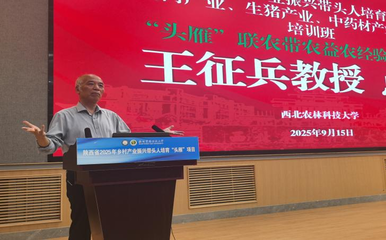 陕西“头雁”聚西农 共绘产业振兴联农图景